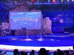 -华夏文旅海洋公园