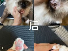 -听TA说宠咖·宠物生活馆(天韵水岸店)