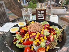 金枪鱼蔬菜沙拉-旧雨咖啡·CoffeeFORU(黄村奥体店)