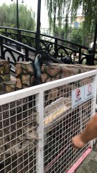 -金庭庄园酒店彩虹厅