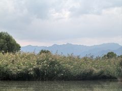 -哈素海
