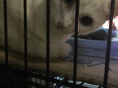 -赢吧Bliss音乐酒吧