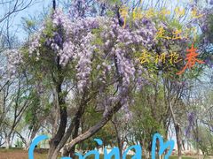 -盘龙城国家考古遗址公园