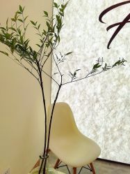 -FUMEIHUI·科技美肤·美体SPA