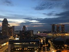 -新加坡瑞士史丹福酒店