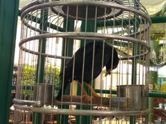 景观位-新竹里馆·花园餐厅(兴苑路店)