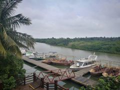 -东寨港红树林旅游区