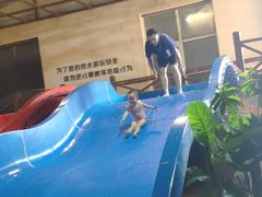 -泉城欧乐堡戏水湾艺术养生温泉