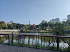 -四海公园(南山区)