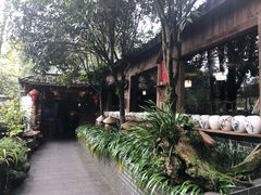 -青城甲(青城山店)