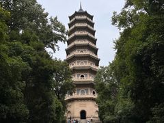 -灵谷景区