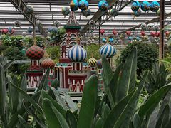 -南宫五洲植物乐园