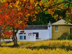 -塔川景区