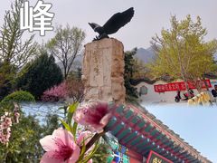 -鹫峰国家森林公园