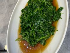 -老绍兴养和饭店(向阳不夜城店)