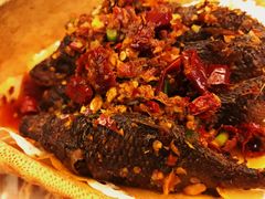 -椿记烧鹅(叠彩店)