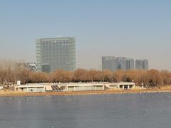 -大兴滨河森林公园