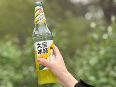 -绿堤公园