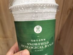 -茉酸奶(松江开元地中海店)