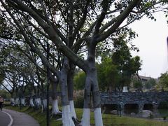 -北京师范大学(珠海校区)