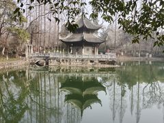 -习家池