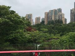 -青枫公园