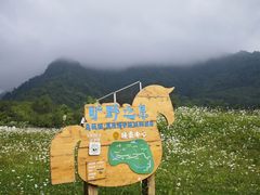 -石棉县孟获城