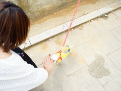 -绵阳盛世樱花悠乐谷