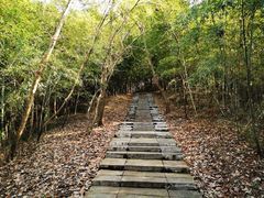 -南京市无想山景区