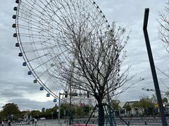 -南昌之星摩天轮