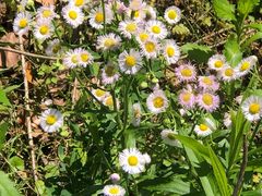 -北仑森林植物园