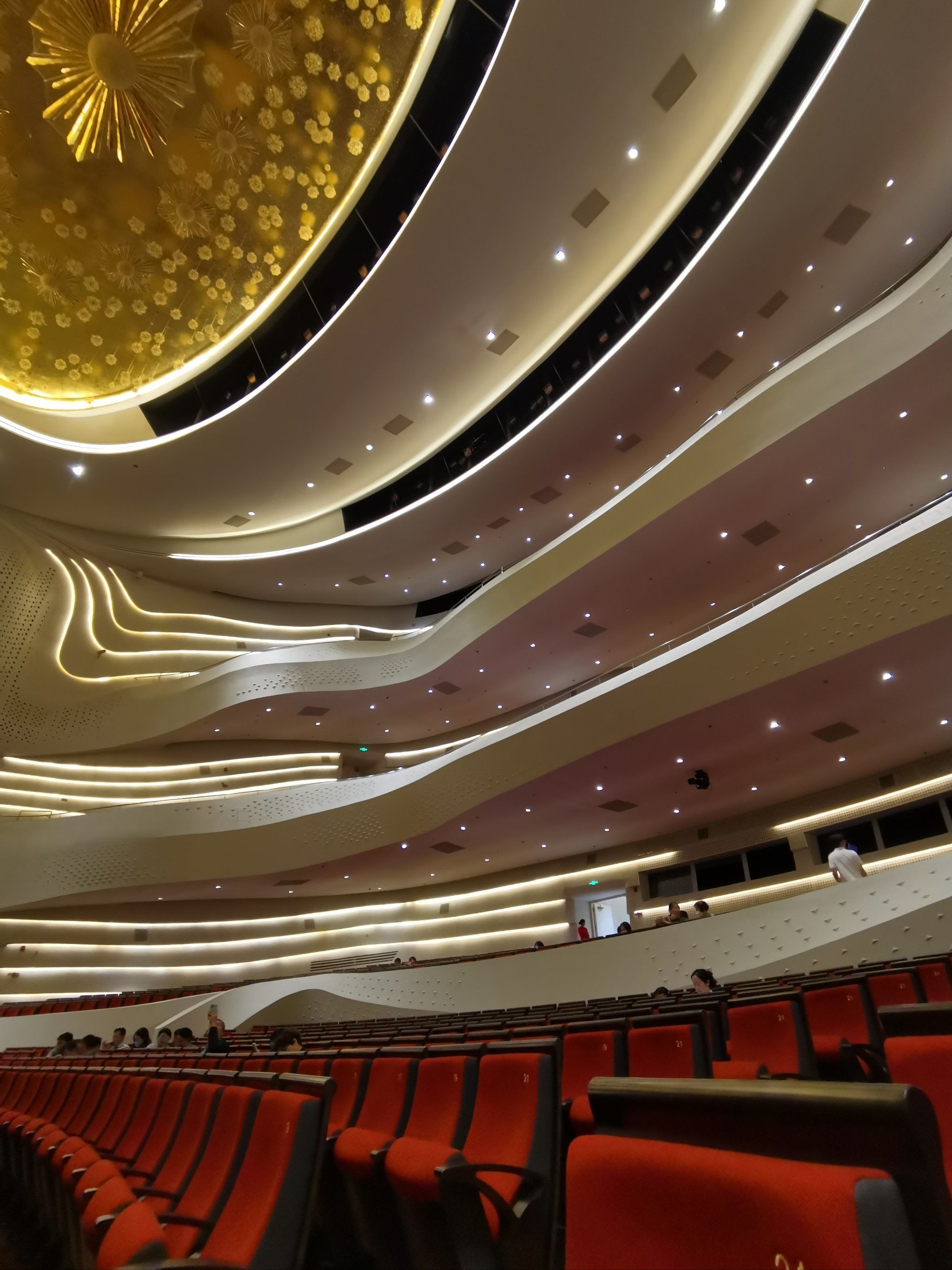 圣彼得堡国家冰上芭蕾舞团的《天鹅湖》,在江苏大剧院歌剧厅上演,买了