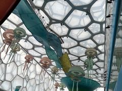 -水立方嬉水乐园