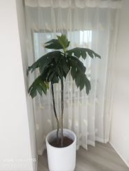 -HEYAN荷妍专业脱毛连锁机构