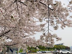 -闵行体育馆-停车场