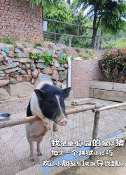 -童心园麦窑·儿童拓展探宝乐园