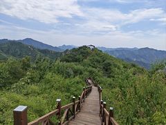-大岭沟猕猴桃谷风景区