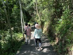 -九龙江国家森林公园