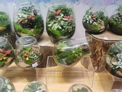 -扶光书店(中环店)