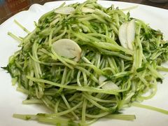 蒜蓉豆苗-老船长海鲜大排档(集美店)