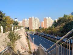 -半分甜(台柳路店)