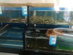 水产区-渔民船说·北塘海鲜·天津菜·海肠捞饭(北塘古镇店)
