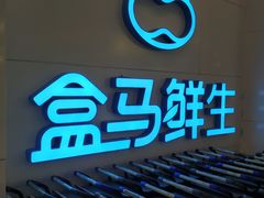 -盒马鲜生(帝斯曼店)