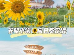 -光明小镇欢乐田园