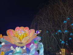 -老门东历史文化街区