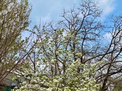 -元大都城垣遗址公园