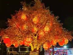 -琅岐红光湖公园