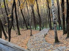 -帽儿山风景区