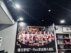 -臻元搏击格斗泰拳拳馆(港隆店)
