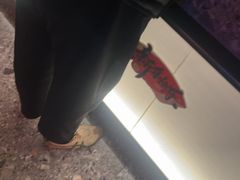 -星聚会KTV(南翔印象城MEGA店)
